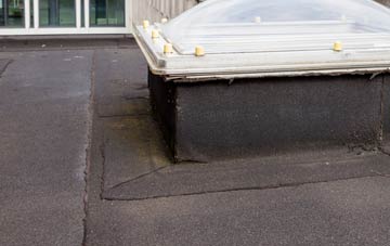 disadvantages of Longfleet flat roofs