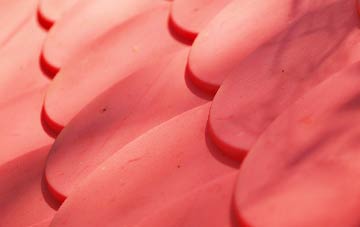 Longfleet plastic roof costs