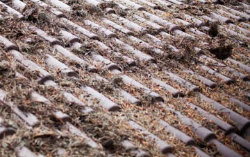 Longfleet roof cleaning companies