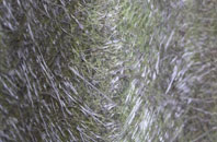 Longfleet fibreglass roof work