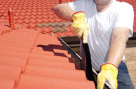 Longfleet roof cleaners